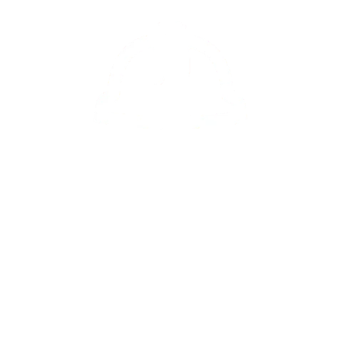 Divisiones Ingeniería